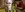 preload