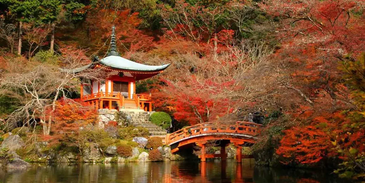 京都市醍醐