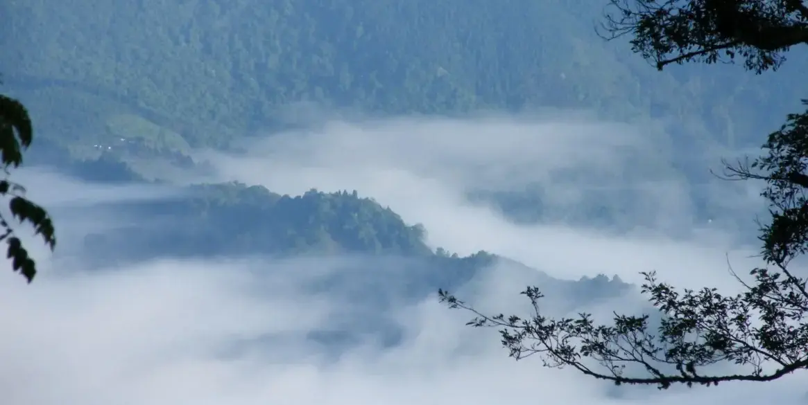 新竹-雪霸-景點-野馬瞰山步道雲海