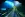 preload