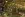 preload