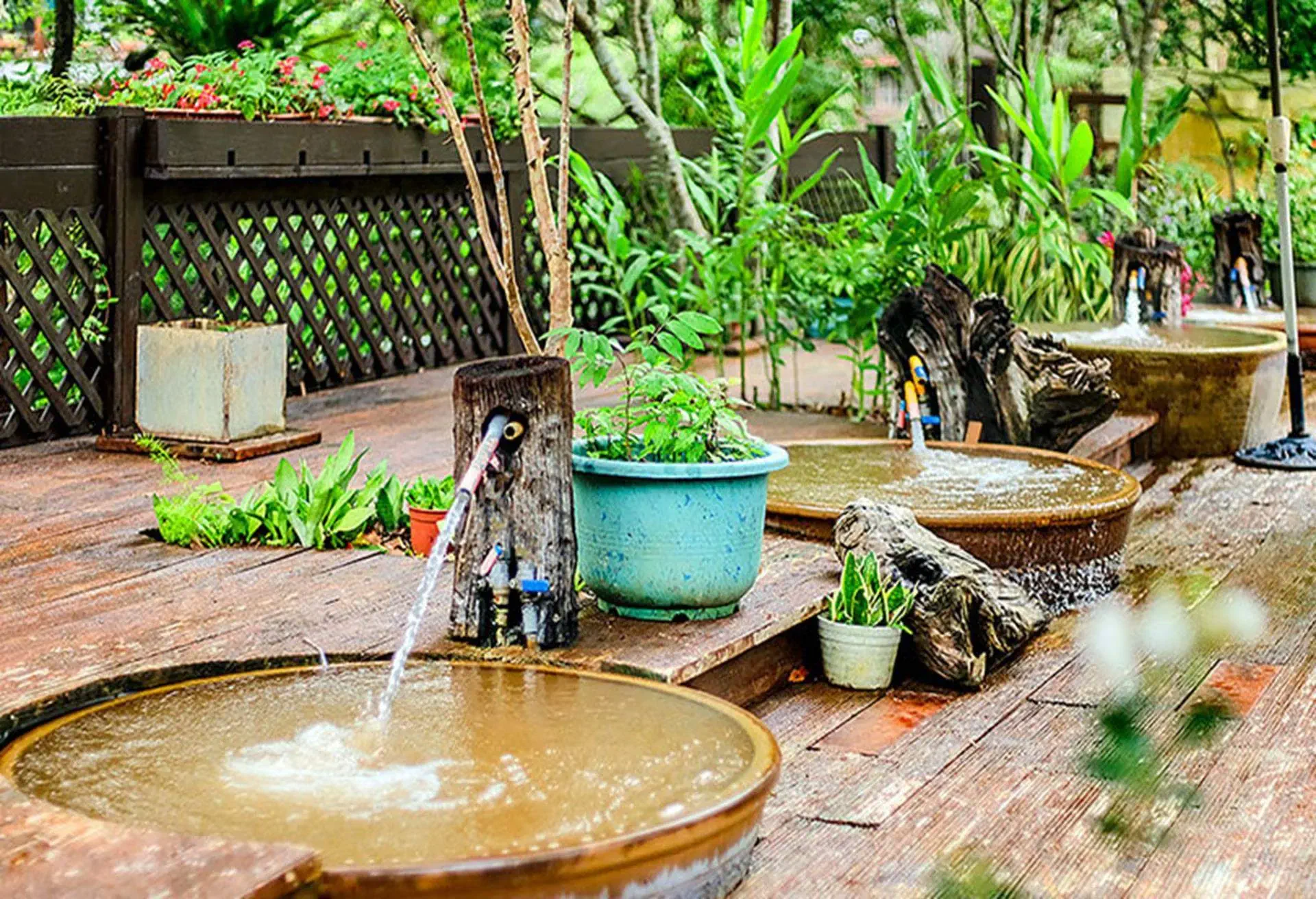 湖畔花時間溫泉會館,苗栗溫泉住宿推薦,苗栗溫泉飯店2022,苗栗泡湯推薦住宿,苗栗溫泉住宿推薦,苗栗溫泉飯店住宿推薦