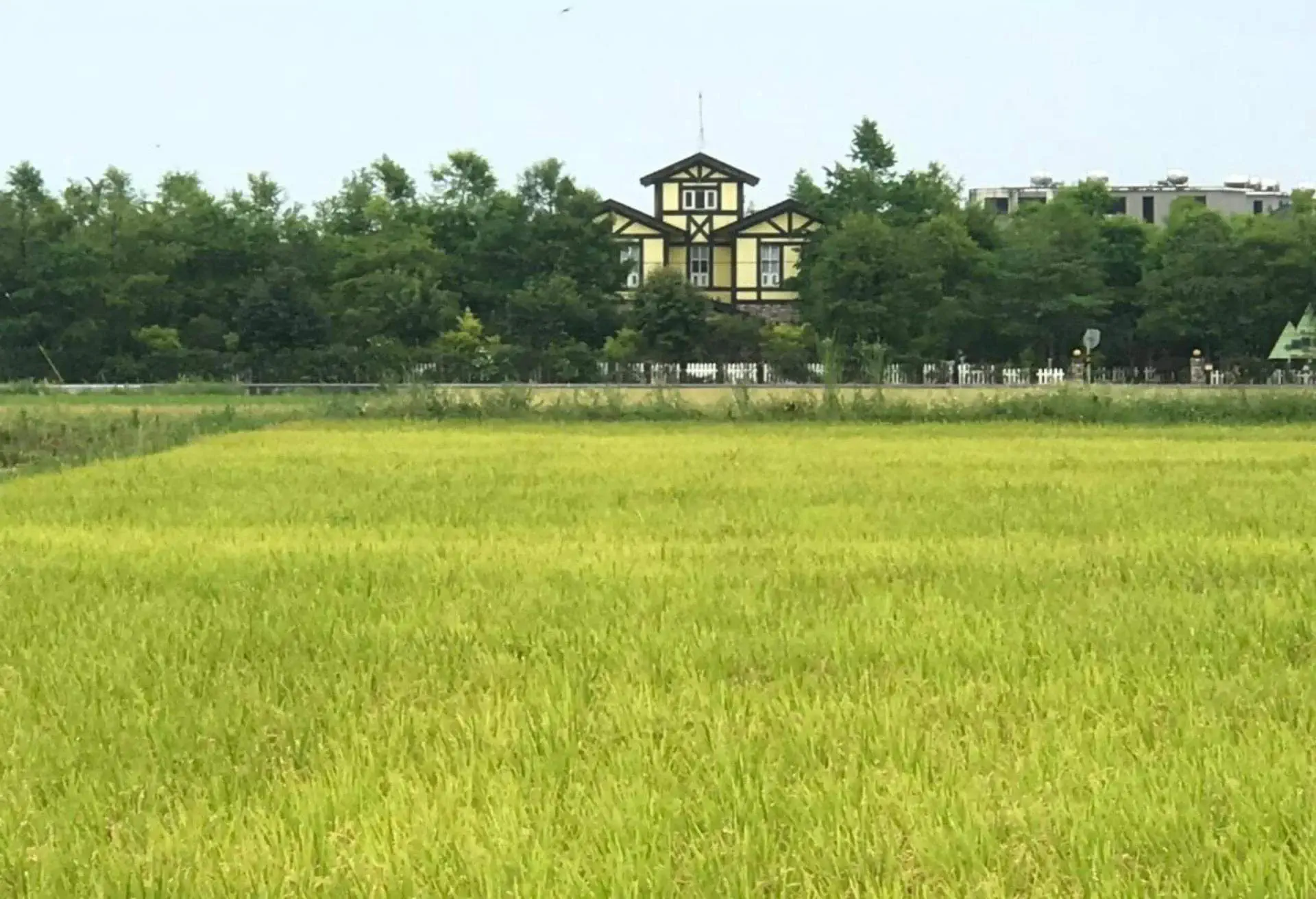 羅騰堡莊園,宜蘭冬山河民宿,宜蘭冬山民宿,宜蘭冬山親子民宿