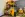 preload