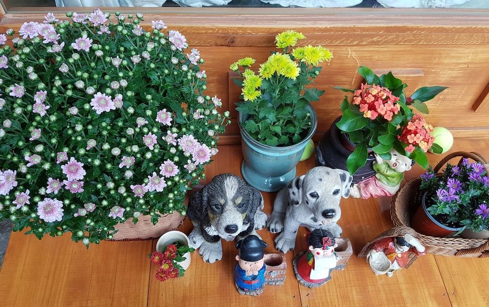 其他 相片