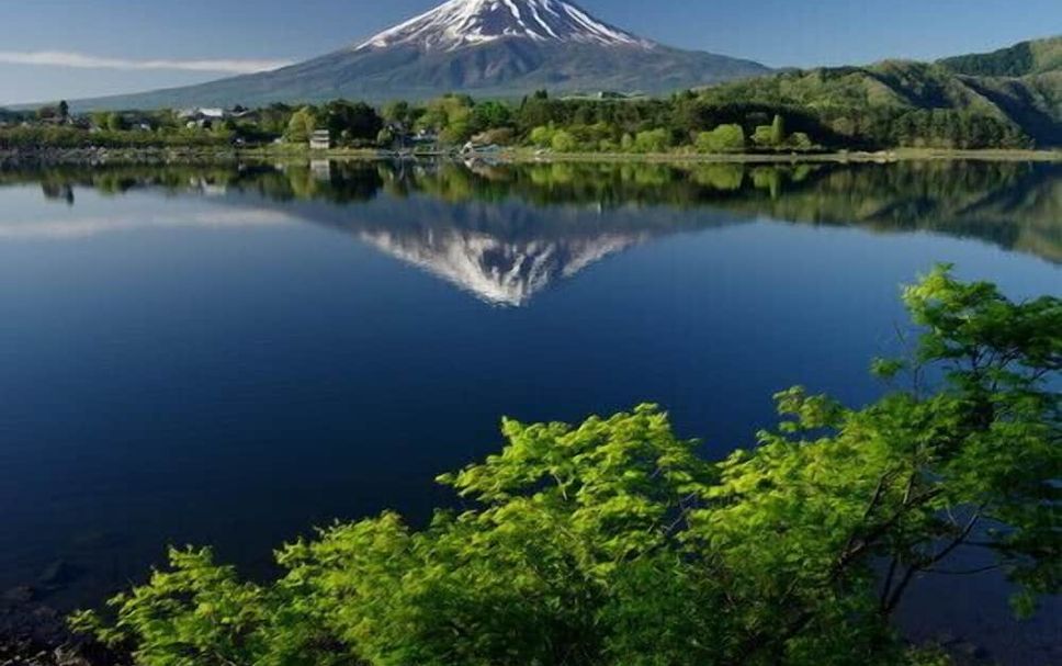 室外景 相片