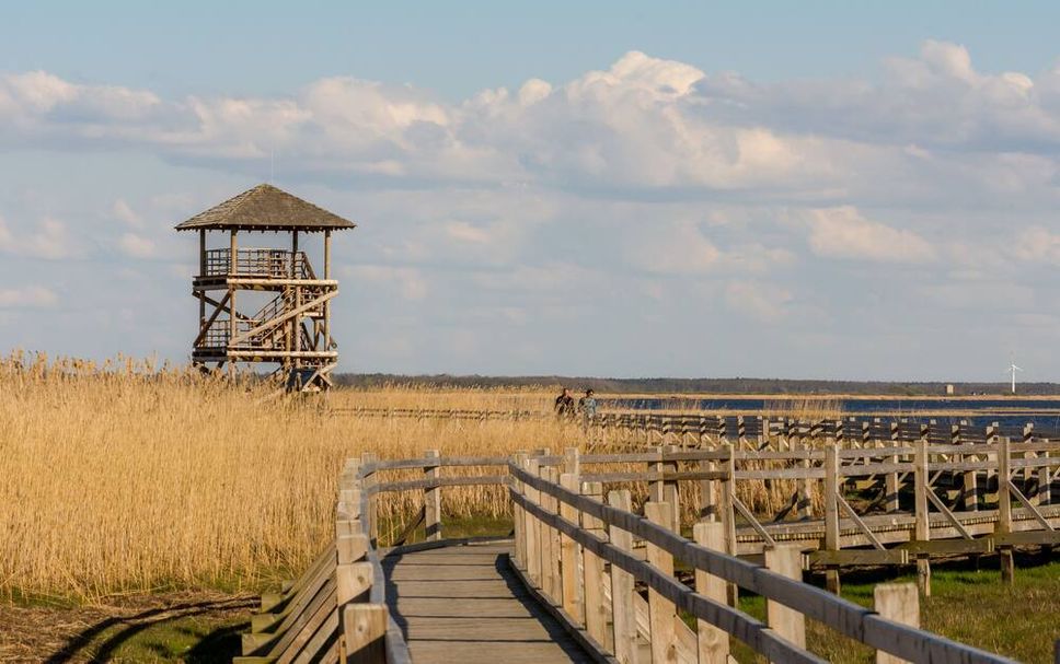 室外景 相片
