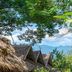 室外景