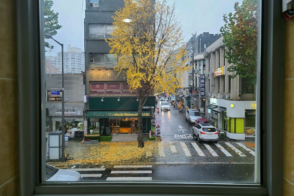 室外景