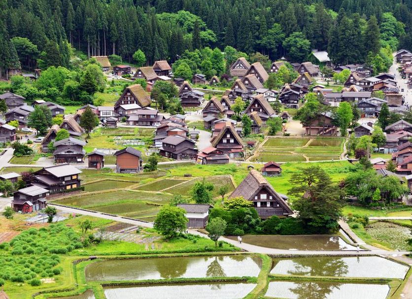 室外景 相片