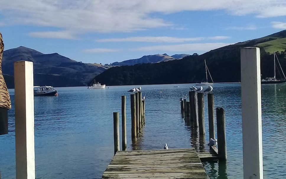 其他 相片