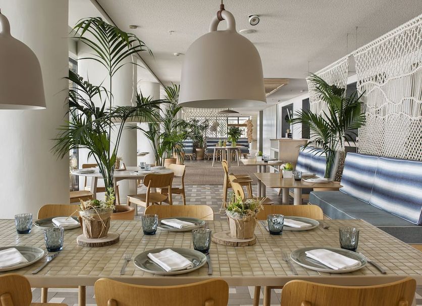 餐廳 相片