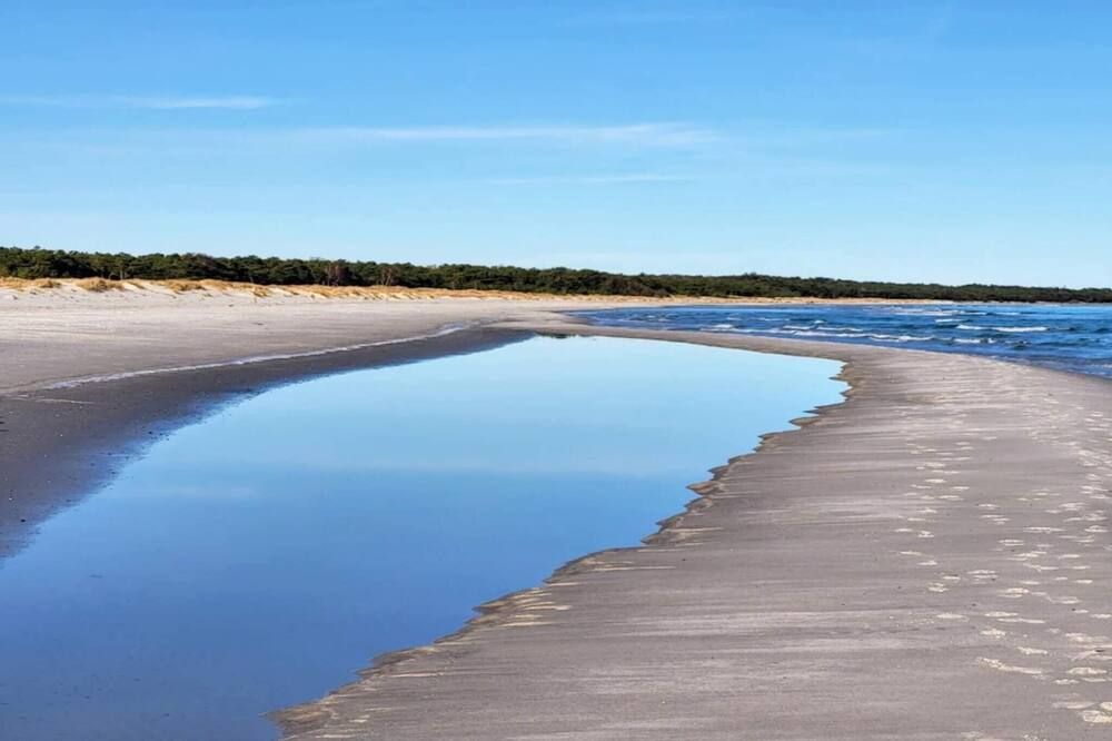 海灘