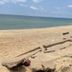 海灘
