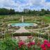 游泳池