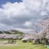室外景