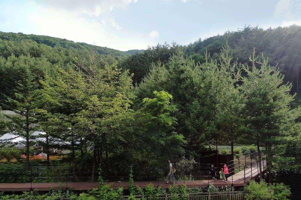 室外景