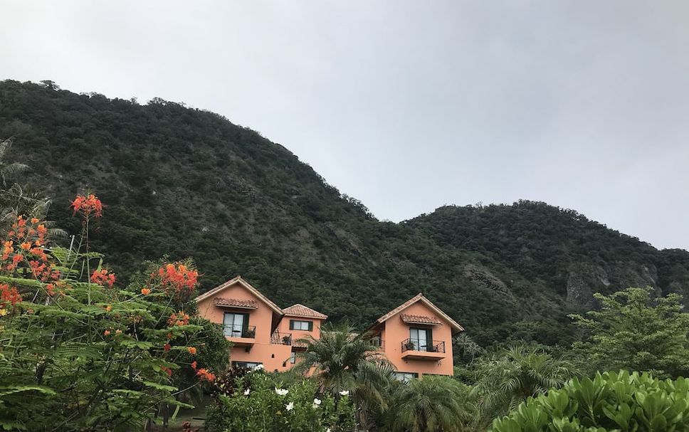 室外景 相片