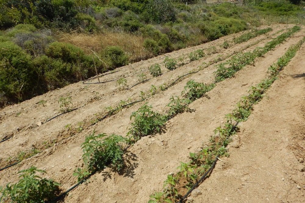 室外景