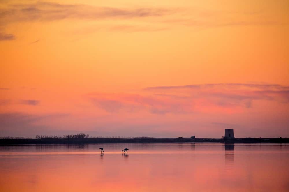 室外景