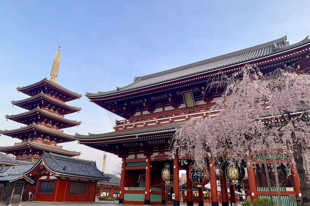 其他 相片