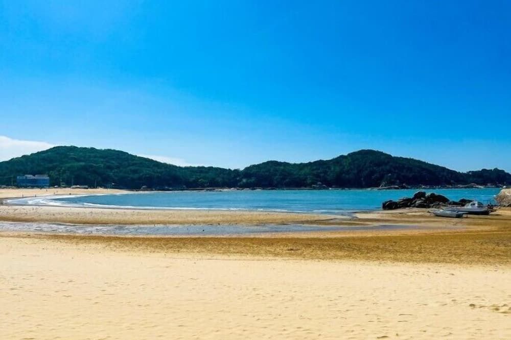 海灘 相片