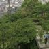 室外景