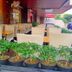 餐廳