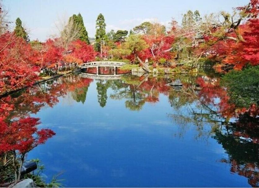 室外景 相片