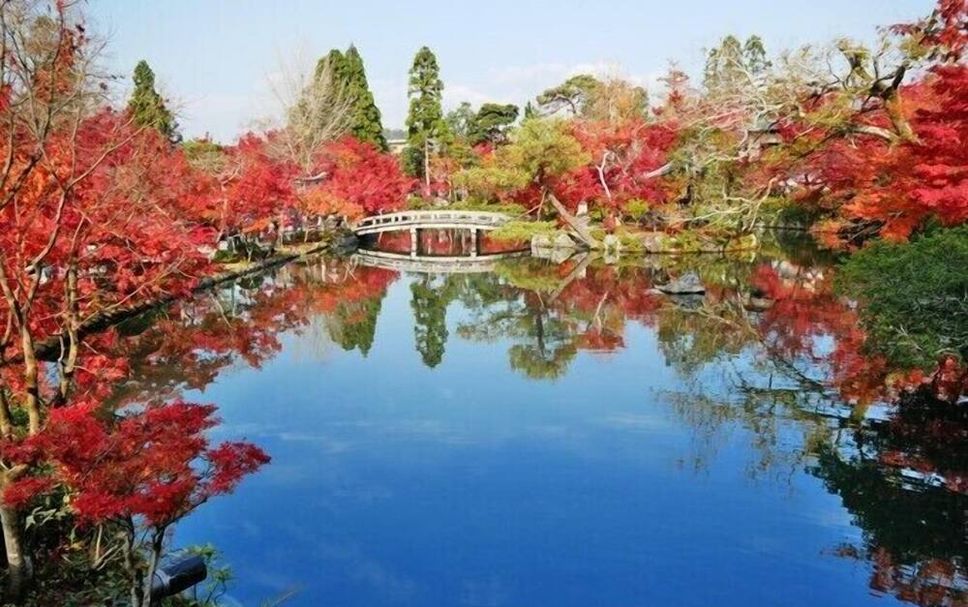 室外景 相片