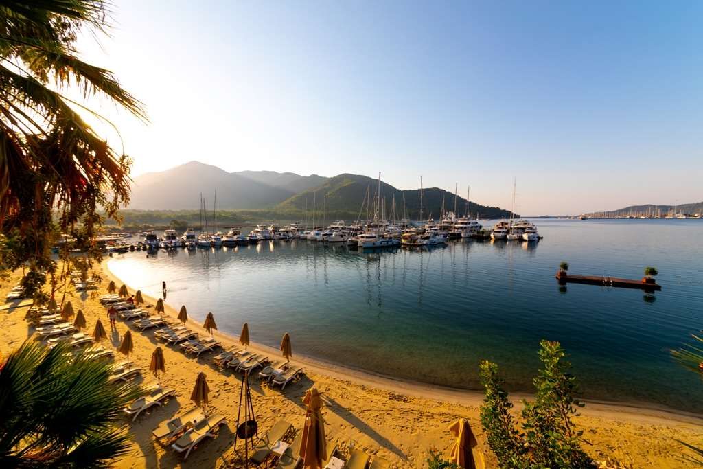 海灘