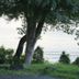 室外景