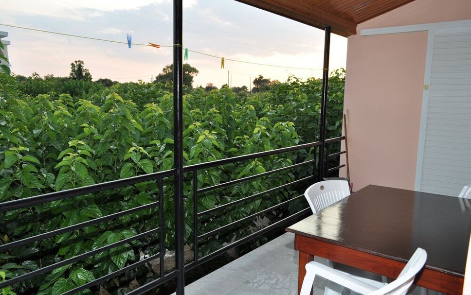 陽台 相片