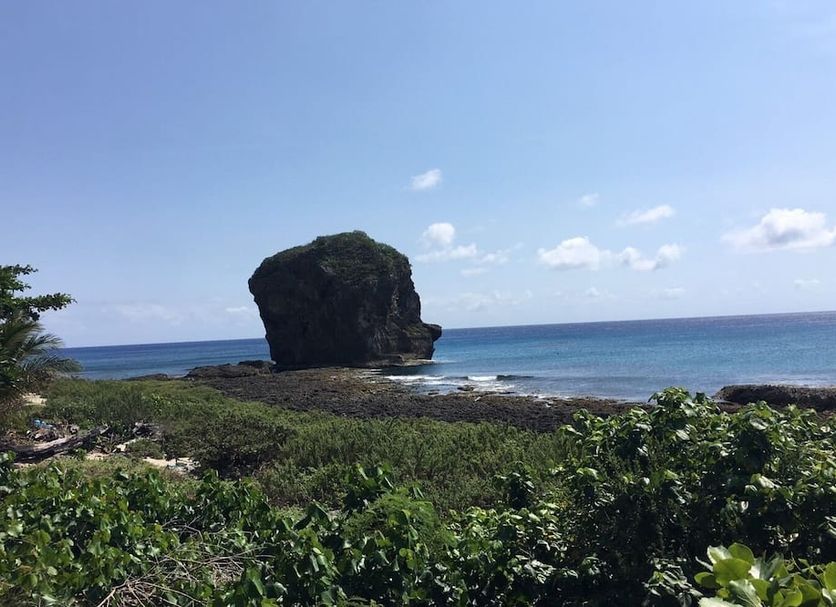 其他 相片