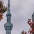 室外景