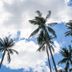 室外景