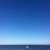 海灘