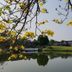 室外景