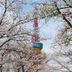 室外景