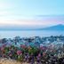 室外景