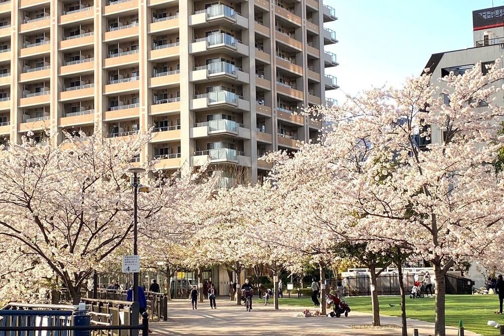 室外景