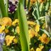 室外景
