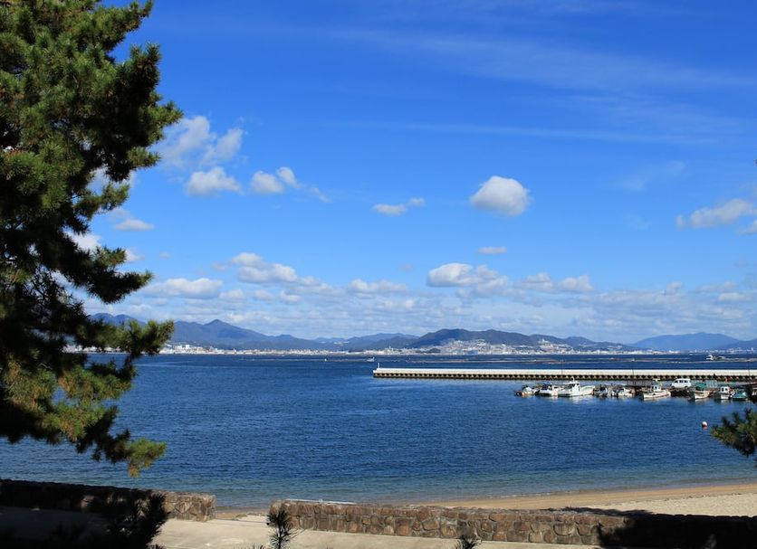 室外景 相片