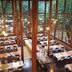 餐廳