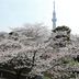 室外景