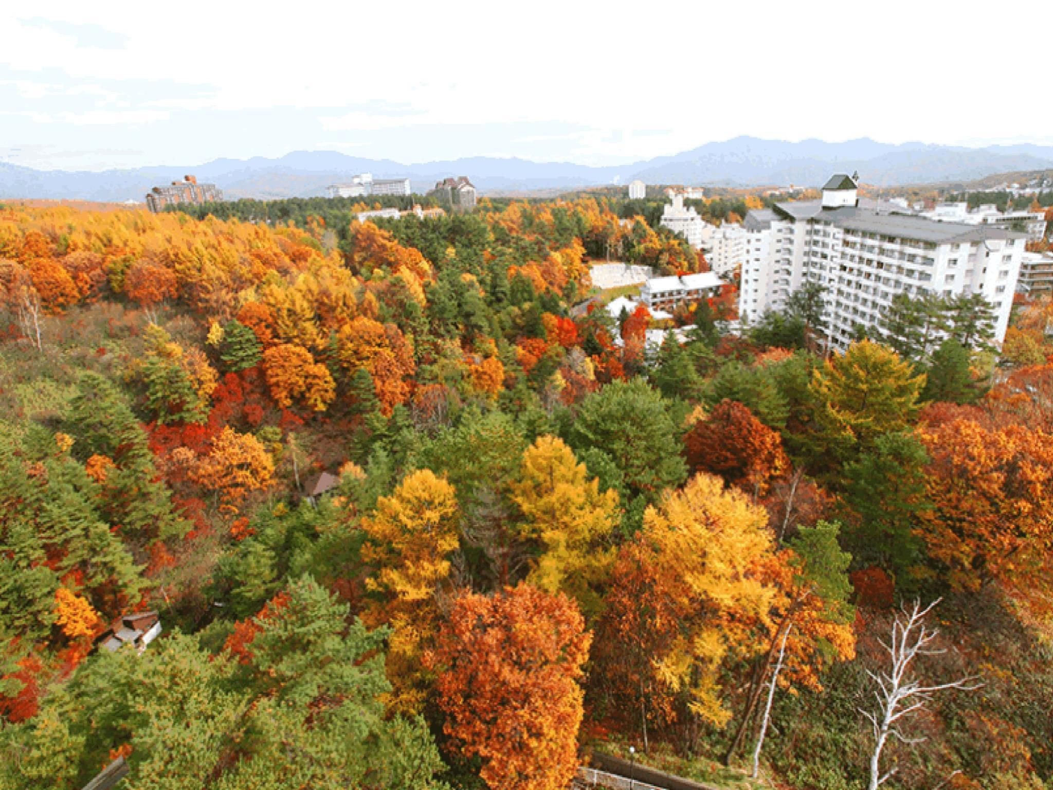 室外景