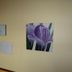 客房設備