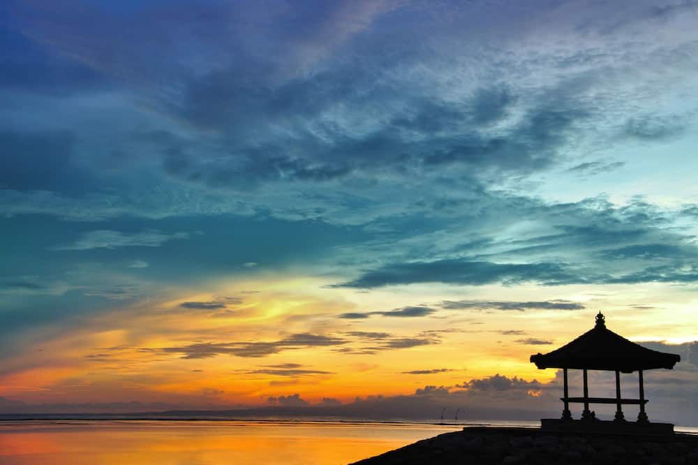 室外景 相片