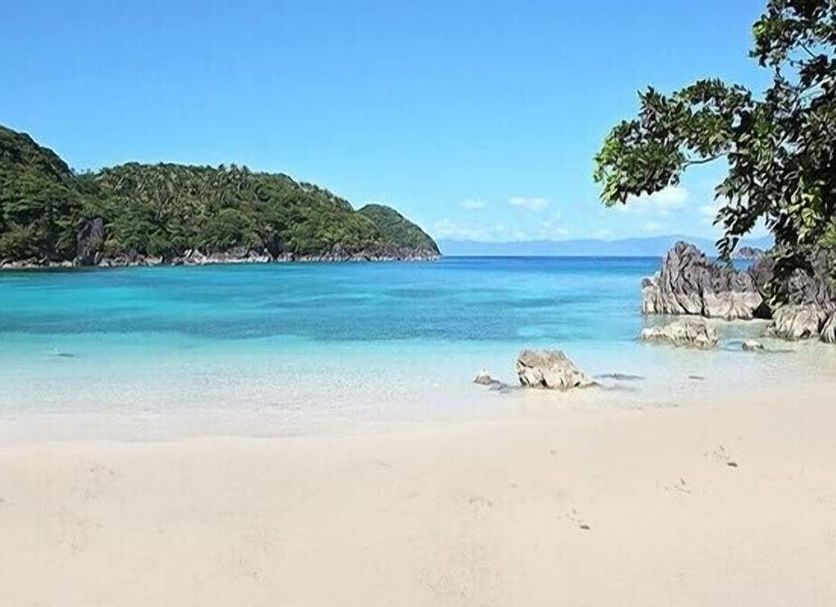 海灘 相片