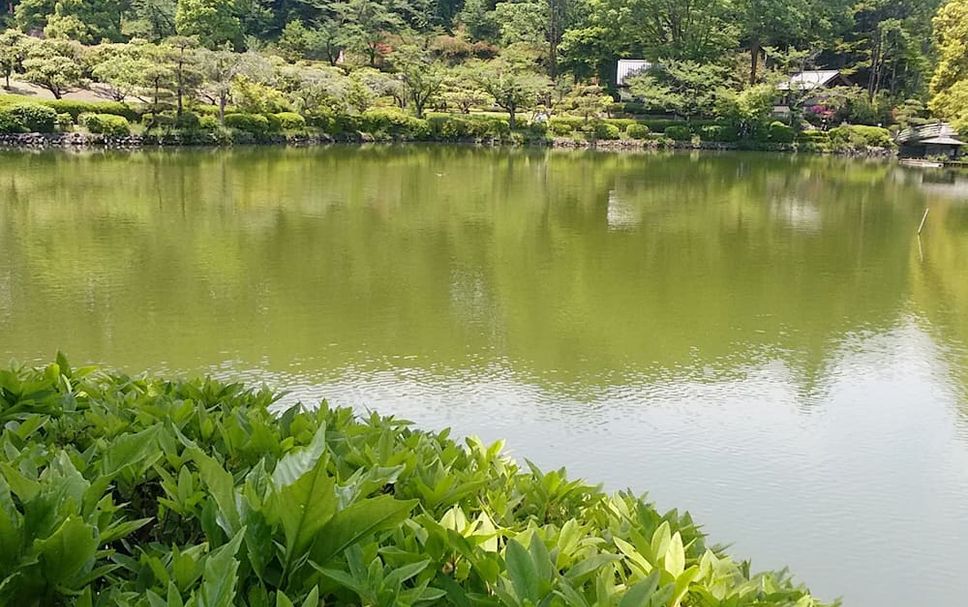 室外景 相片